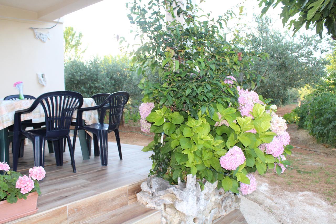 Haus Glavani Barban Εξωτερικό φωτογραφία