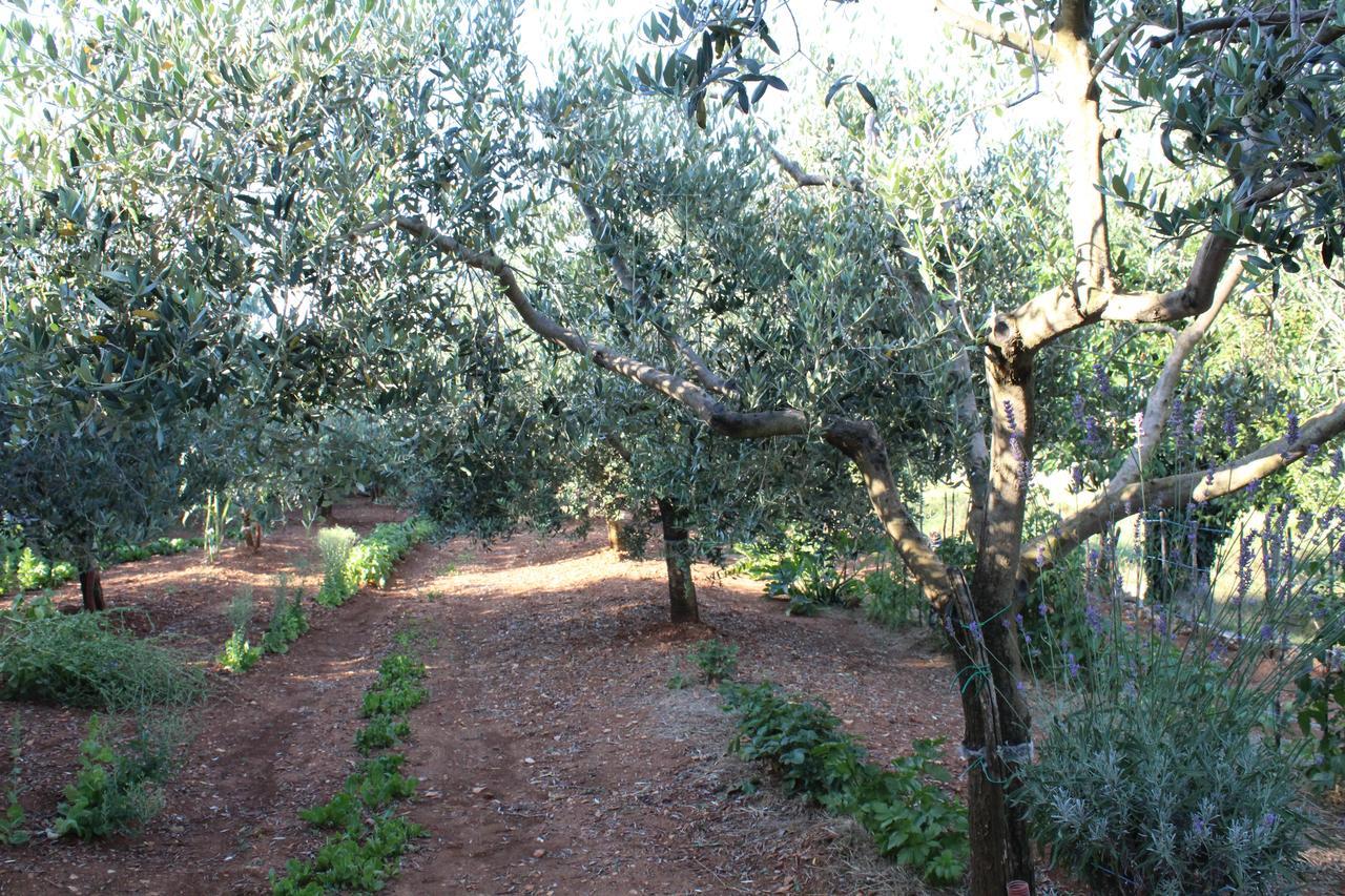 Haus Glavani Barban Εξωτερικό φωτογραφία